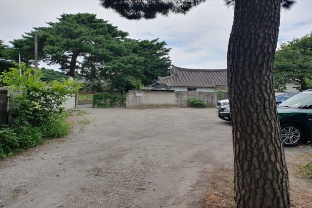 강릉여행 강릉한식 땡긴다면, 강릉찐맛집 [감자적본부]