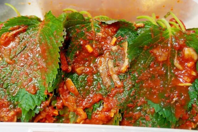 깻잎김치 맛있게 담그는법 :: 맛있는 양념 황금레시피