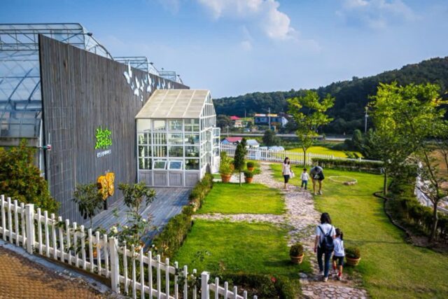 경기도 용인 곤충테마파크 아이와 곤충체험 가볼만한곳