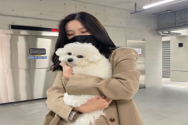 넷플릭스 마스크걸 라라 김춘애 배우 정보