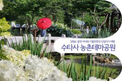강원도 홍천 아이와 가볼 만한 곳 당일치기 여행 수타사 농촌테마공원