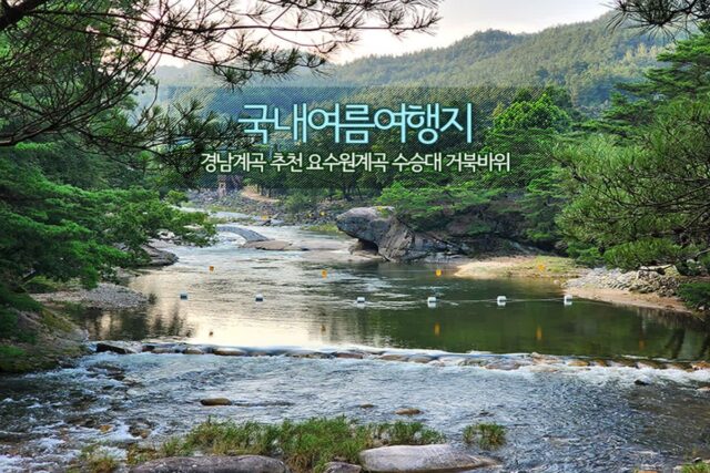 국내 여름휴가 추천 경남계곡 요수원 계곡 수승대 거북바위