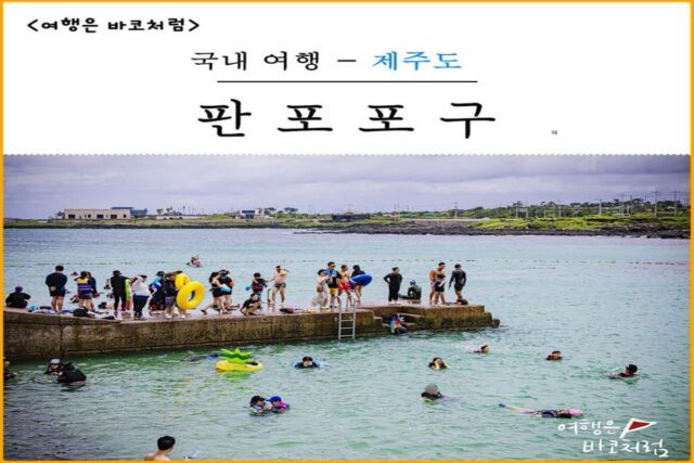 제주도 스노쿨링 물놀이 명소 판포포구 솔직 후기, 물때 확인 & 주차&대여