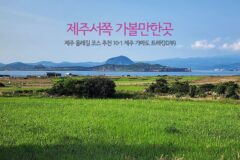 제주서쪽 가볼 만한 곳 제주 올레길 코스 추천 10-1 제주 가파도 트레킹(2부)