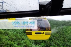 강원도 태백 여행 케이블카 태백 365세이프타운