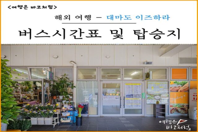 대마도 히타카츠에서 이즈하라 버스 왕복 이용 방법, 시간표 및 탑승 위치