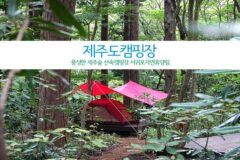 제주도 캠핑장 제주숲 산속캠핑장 편백나무숲 서귀포 자연휴양림
