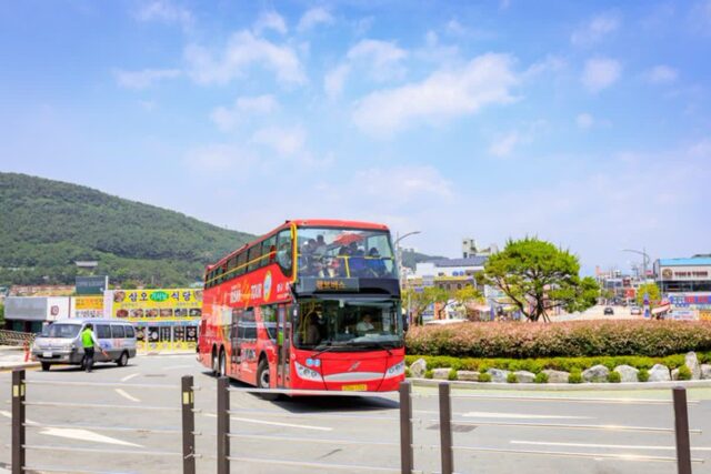 부산시티투어 예약, 라인별 코스와 요금 탑승정보