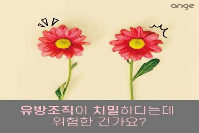 치밀유방 진단 받았는데 모유수유 가능한가요? 치밀유방 특징과 주의점
