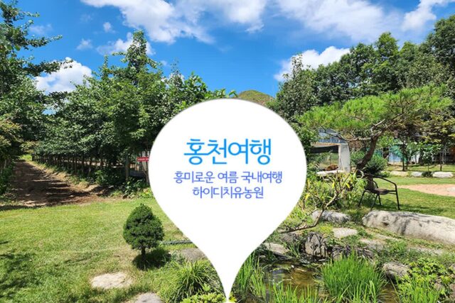 홍천여행 ) 흥미로운 여름 국내여행 하이디치유농원 당일치기 여행