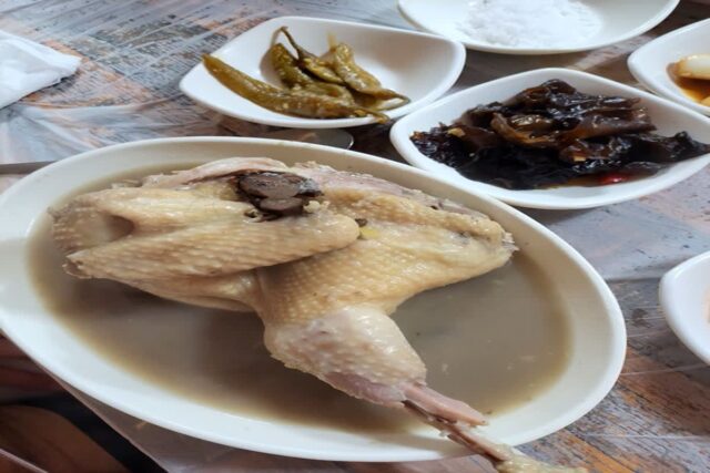청송 달기약수백숙 맛집  울산단골식당 토종닭백숙