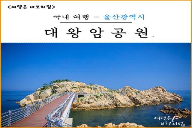 울산 가볼만한곳 대왕암공원, 주차장 맥문동 수국 가득한 코스