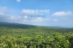 제주도 혼자여행 걷기 좋은 길 제주도숲길 트레킹코스