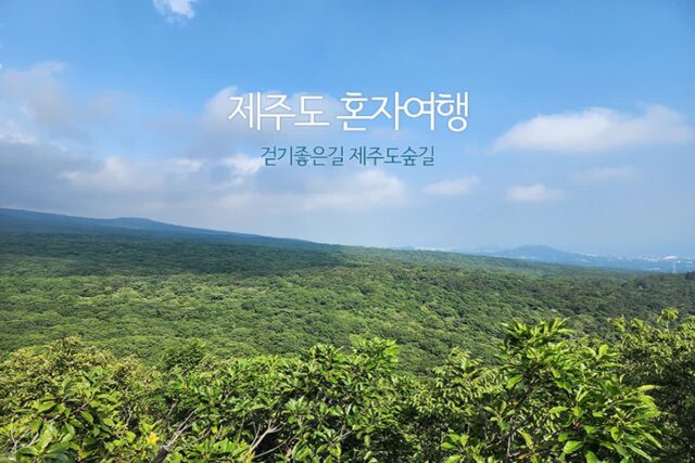 제주도 혼자여행 걷기 좋은 길 제주도숲길 트레킹코스