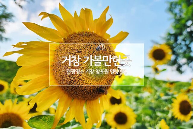거창 가볼 만한 곳 관광명소 거창 창포원 힐링여행