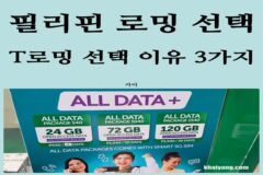 필리핀 세부 해외여행 현지 유심 NO, SKT T로밍 바로 통화 가족요금제 선택한 3가지 이유!(가입 사용 방법)