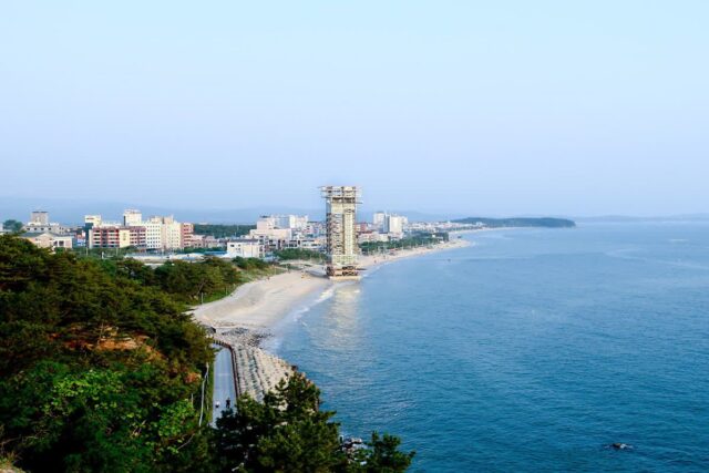 대천해수욕장 놀거리 높은 곳에서 즐기는 짚트랙 짚라인