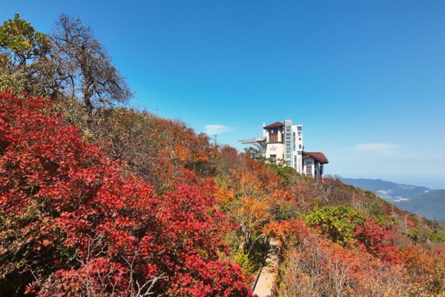 발왕산 케이블카 스카이워크 예약 가을 풍경 명소 둘러보기