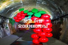 문경 가볼만한 곳 오미자터널 & 문경 오미자축제 손태진 출연