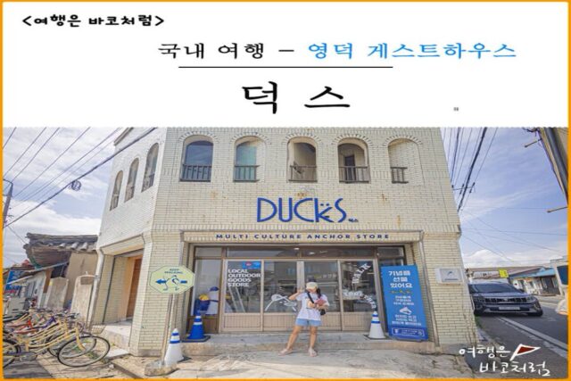 영덕 게스트하우스 덕스, 가성비 좋은 숙소 추천