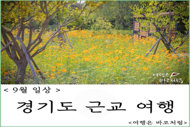 경기도 근교 수원 나들이 일월수목원, 신스쭈꾸미, 빕스까지 먹고 놀기