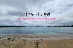 제주도 자유여행 제주 종달리 마을 풍경과 종달리 해변 두문포항(종달항)