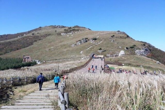 가을에 가볼만한 곳, 간월산 간월재 억새 군락지가는법(초보자 코스)