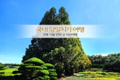 국내 당일치기 여행 전북 가볼 만한 곳 익산여행