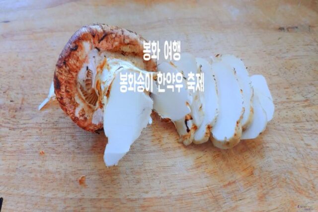 ‘2023 봉화송이 한약우 축제 & 개막식 출연 가수 라인업