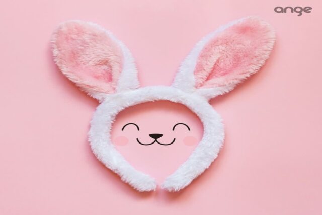 우리 아이는 토끼 홀릭 중! 아이들의 최애 동물 토끼, 그 이유는?