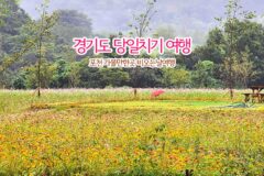 경기도 당일치기 여행 포천 가볼만한곳 비 오는 날 여행