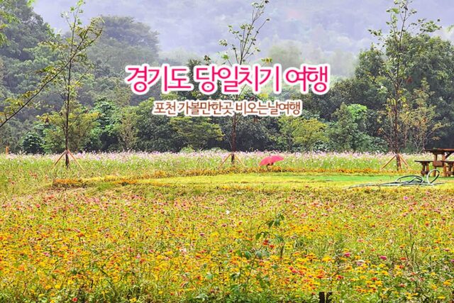 경기도 당일치기 여행 포천 가볼만한곳 비 오는 날 여행