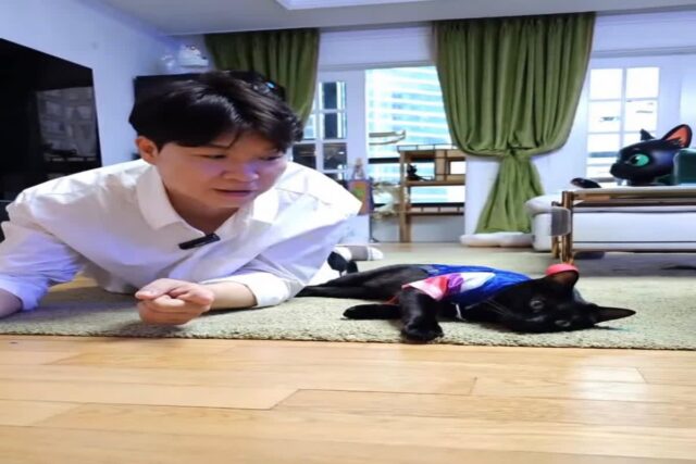 박수홍, 한복 곱게 차려입은 반려묘 ‘다홍이’와 찰칵!…”박수홍이랑행복해다홍”