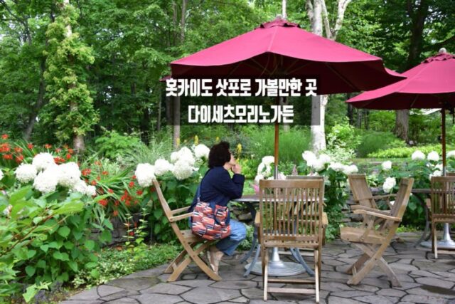 일본 북해도 3박 4일 패키지여행 삿포로 소운쿄 다이세츠 모리노가든