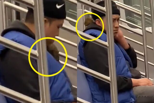 쥐가 사람 몸에… 뉴욕 지하철에서 찍힌 사진 한 장에 다들 경악했다