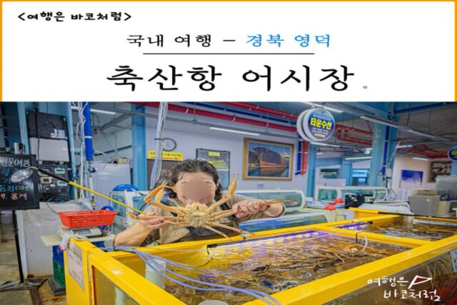 영덕 여행 축산항에 어시장 가서 대게·해산물 구매 후기