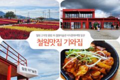 철원 고석정 꽃밭 內 철원미(米)술관 미식문화여행 참관 후 철원맛집 기와집