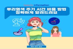 뿌리염색 주기 시간 비용 방법 정확하게