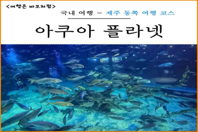 10월 제주도 동쪽 여행 실내 관광 코스로 갈만한곳 아쿠아플라넷