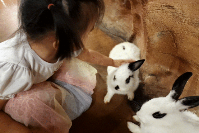 경기도 하남 아이와 가볼만한곳. 실내 동물원 주렁주렁 하남점 리뷰 및 할인팁