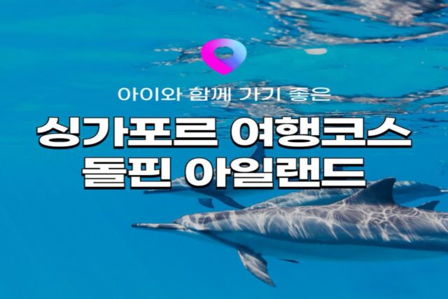 [싱가포르 여행] 아이와 가기 좋은 싱가포르 필수코스 ‘돌핀 아일랜드’ 돌고래 체험 총정리! (+유니버셜 스튜디오 입장권 무료 증정!)