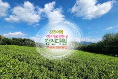 강진여행 강진 가볼 만한 곳 강진다원 호남3대정원 백운동정원(원림)