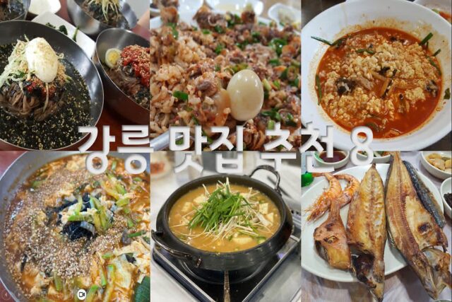 강릉 맛집 추천 8곳 후기 내돈내산 강릉여행 먹부림!