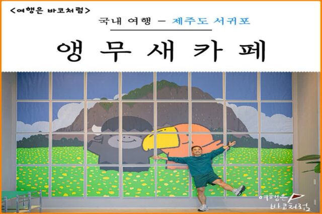 제주도 서귀포 카페 서울앵무새 애견동반 가능한 대형 감성 카페추천