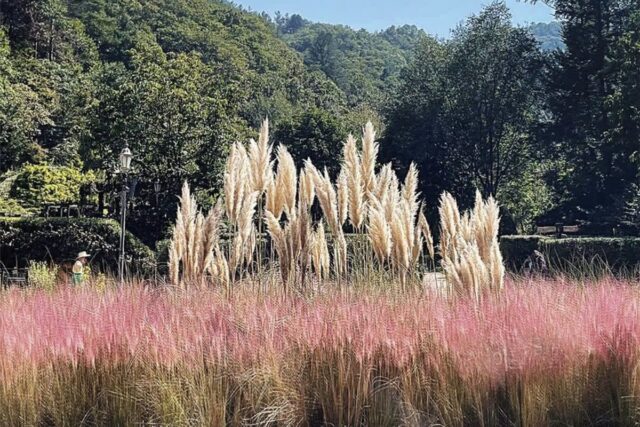 “와~ 근교에 이런 곳이”… 귀경길 들르기 좋은 여행지 3곳