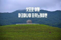삿포로 여행 가볼만한 곳 마코마나이 타키노레이엔(모아이상&대불상), 모아이 뜻
