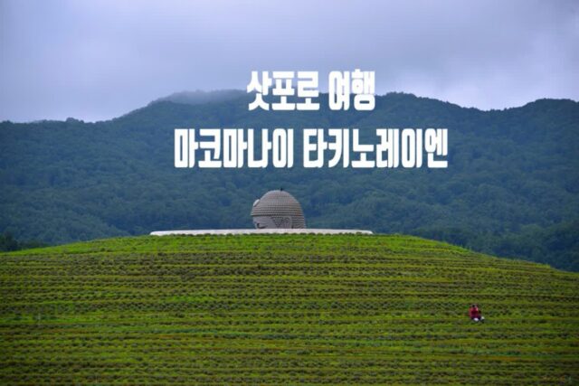 삿포로 여행 가볼만한 곳 마코마나이 타키노레이엔(모아이상&대불상), 모아이 뜻