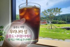 울릉도 여행 우리나라 섬 울릉도 나리분지에서 밥 먹고 카페 숲크닉커피