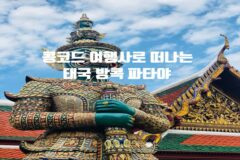 대구 출발 해외여행 패키지여행은 콩코드 여행사