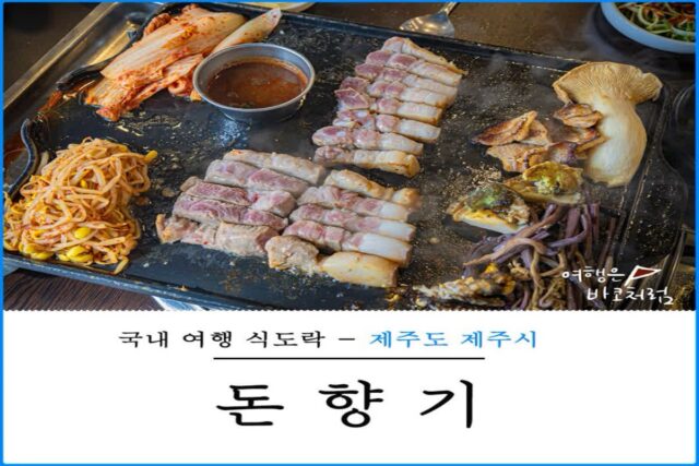 제주도 현지인 맛집 리스트 다시 가고 싶은 제주 맛집들!